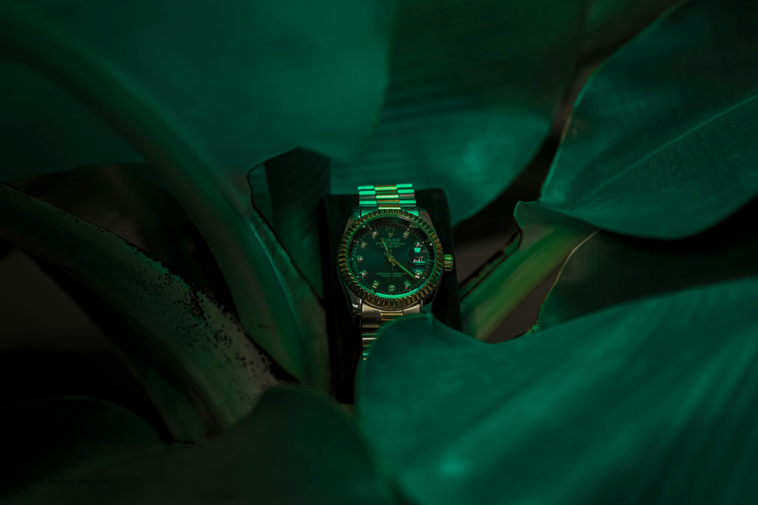 Rolex lorem ipsum dolor sit amet lorem ipsum 